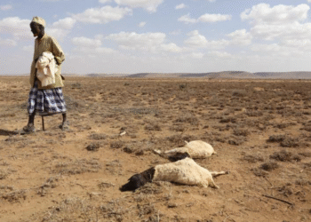 FAIRE FACE AU DÉFI PRESSANT DE LA SÉCHERESSE EN AFRIQUE DE L’OUEST : Un Centre régional pour l’eau en Afrique créé pour renforcer les capacités dans le secteur de l’eau