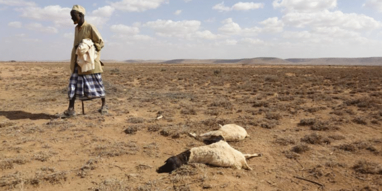 FAIRE FACE AU DÉFI PRESSANT DE LA SÉCHERESSE EN AFRIQUE DE L’OUEST : Un Centre régional pour l’eau en Afrique créé pour renforcer les capacités dans le secteur de l’eau