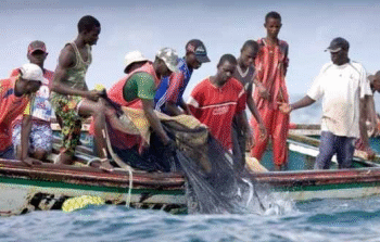 PÊCHE ARTISANALE : Baisse de 7,0% des débarquements au second trimestre 2025