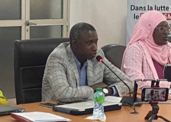 LUTTE CONTRE LE PALUDISME : Les parlementaires s’engagent à pérenniser les financements domestiques dédiés à la santé