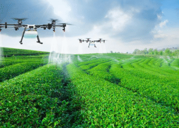 INTELLIGENCE ARTIFICIELLE ET AGRICULTURE : Une délégation guinéenne des lauréats du « Startup Week » en immersion au Sénégal