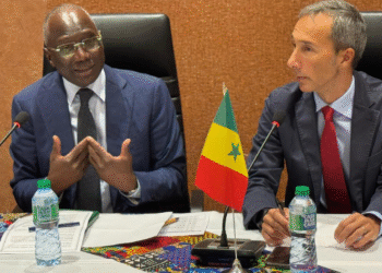 PROJET D’APPUI À LA SOUVERAINETE ALIMENTAIRE DU SÉNÉGAL (PASS) : Un programme de 300 millions de dollars pour appuyer 220 000 ménages agricoles