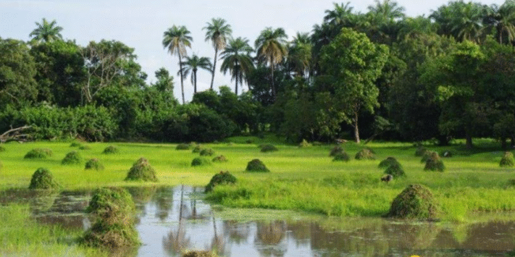 CASAMANCE : Un projet de désenclavement fluvial de plus de 40 milliards présenté