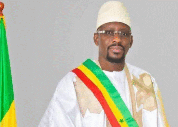 MIMI MANDATÉE POUR NÉGOCIER AVEC MOUSTAPHA DIOP : Le parti Farlu dément Cheikh Bara Ndiaye