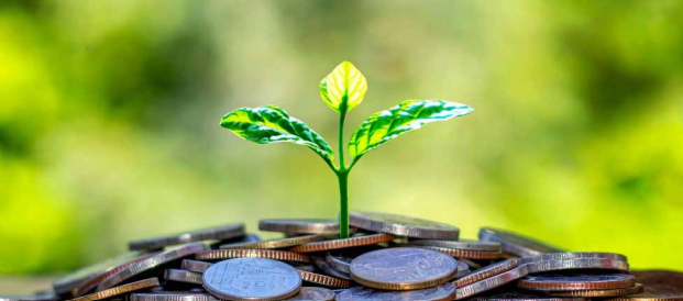 FONDS VERT POUR LE CLIMAT : Une opportunité stratégique pour le secteur privé sénégalais