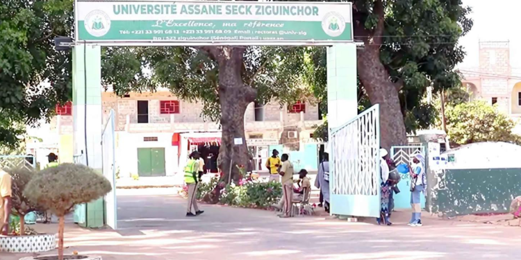 UNIVERSITE ASSANE SECK DE ZIGUINCHOR : Le SAES durcit le ton et décrète 48h de grève 