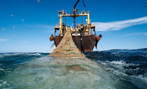 LUTTE CONTRE LA PÊCHE INN : L’Afrique de l’Ouest en eau trouble