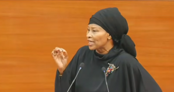 Bourses familiales, tension à l&rsquo;université …: Aissata Tall interpelle le premier ministre