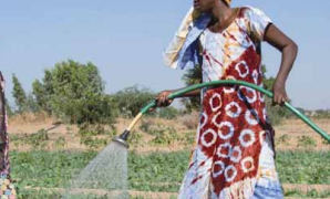 8 MARS : Femmes à l’honneur !