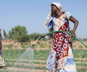 8 MARS : Femmes à l’honneur !