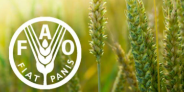 PRODUITS ALIMENTAIRES : L’indice FAO des prix s’affiche en hausse en février 2026