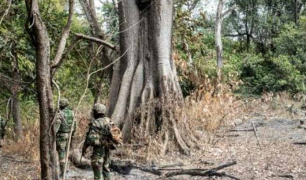 OPÉRATIONS DE DESTRUCTION DE CHAMPS DE CHANVRE INDIEN À KADIALOCK (NORD SINDIAN) : Un militaire tué et plusieurs assaillants neutralisés…