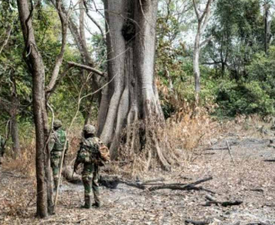 OPÉRATIONS DE DESTRUCTION DE CHAMPS DE CHANVRE INDIEN À KADIALOCK (NORD SINDIAN) : Un militaire tué et plusieurs assaillants neutralisés…