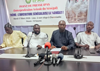 APPROVISIONNEMENT EN VIANDE POUR KORITÉ ET PÂQUES : Poulet à gogo pour les fêtes, l’IPAS rassure