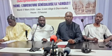 APPROVISIONNEMENT EN VIANDE POUR KORITÉ ET PÂQUES : Poulet à gogo pour les fêtes, l’IPAS rassure