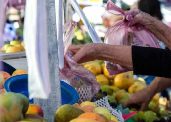 JOURNÉE INTERNATIONALE DU ZÉRO DÉCHET : 60 % du gaspillage alimentaire provient des ménages