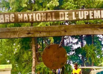 PARC NATIONAL DE L’UPEMBA : L’UICN et le CMAP condamnent les attaques armées 