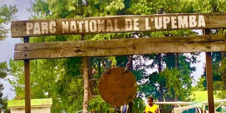 PARC NATIONAL DE L’UPEMBA : L’UICN et le CMAP condamnent les attaques armées 
