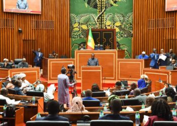 ATTAQUES TERRORISTES CONTRE LE MALI : Le Sénégal assure son soutien au gouvernement Malien