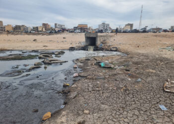 POLLUTION MARINE : Lancement d’un plaidoyer pour l’amélioration de la qualité des eaux récréatives au Sénégal
