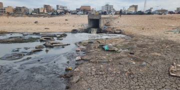 POLLUTION MARINE : Lancement d’un plaidoyer pour l’amélioration de la qualité des eaux récréatives au Sénégal