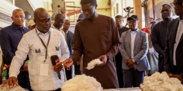 TOURNÉE ÉCONOMIQUE À KOLDA : Diomaye prêt à accompagner la dynamique de relance de la filière coton