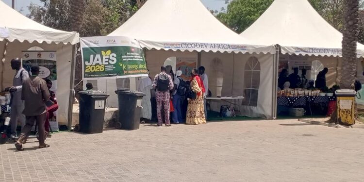 L&rsquo;AGROÉCOLOGIE AU SÉNÉGAL : Les acteurs plaident pour l’institutionnalisation