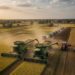 CESSION MATÉRIELS AGRICOLE DU PROGRAMME INTERMAQ : Pourquoi le ministre est concerné par le programme Intermaq