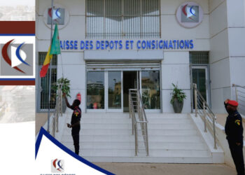 CETTE SEMAINE EN AFRIQUE  : La Chine supprime les droits de douane pour toute l’Afrique… (ou presque) 