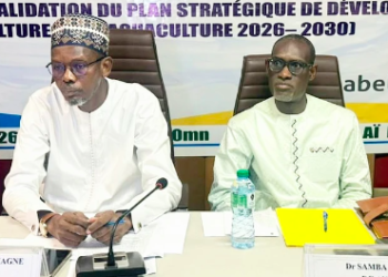 AQUACULTURE : L’ANA veut, avec son PSD, générer 26 000 emplois et produire 20 000 tonnes de poisson, d’ici à 2030
