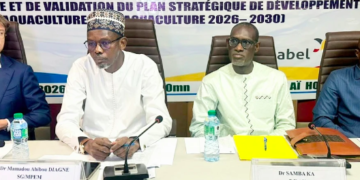AQUACULTURE : L’ANA veut, avec son PSD, générer 26 000 emplois et produire 20 000 tonnes de poisson, d’ici à 2030