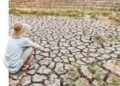 CLIMAT : 1,1 milliard d’enfants exposés à la sécheresse et aux vagues de chaleur