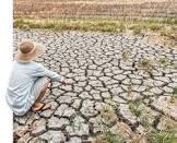 CLIMAT : 1,1 milliard d’enfants exposés à la sécheresse et aux vagues de chaleur