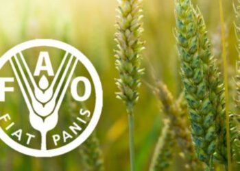 PRODUITS ALIMENTAIRES : L’indice FAO des prix affiche sa troisième hausse mensuelle consécutive