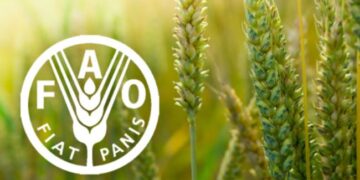 PRODUITS ALIMENTAIRES : L’indice FAO des prix affiche sa troisième hausse mensuelle consécutive