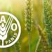 PRODUITS ALIMENTAIRES : L’indice FAO des prix affiche sa troisième hausse mensuelle consécutive