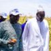 POUT : 10 hectares de semences de maïs certifiées exploités par les ICS et Minam Export