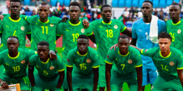 COUPE DU MONDE : Les Lions au testeur des Saoudiens en attendant les Bleus