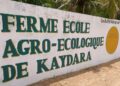 AGROÉCOLOGIE : Kaydara, Le pari gagnant de l’incubation des jeunes et des femmes