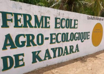 AGROÉCOLOGIE : Kaydara, Le pari gagnant de l’incubation des jeunes et des femmes