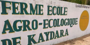 AGROÉCOLOGIE : Kaydara, Le pari gagnant de l’incubation des jeunes et des femmes