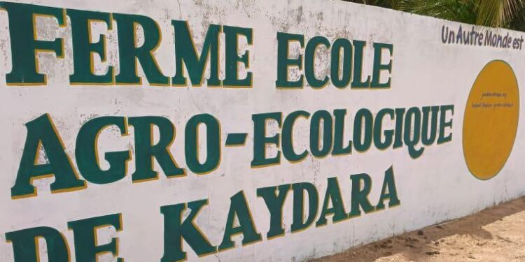 AGROÉCOLOGIE : Kaydara, Le pari gagnant de l’incubation des jeunes et des femmes