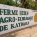 AGROÉCOLOGIE : Kaydara, Le pari gagnant de l’incubation des jeunes et des femmes