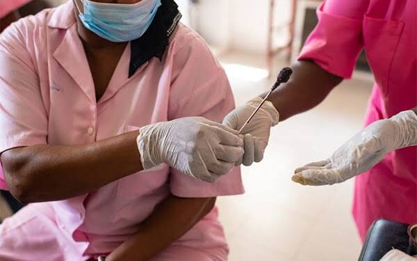 CANCER DU COL DE L’UTÉRUS : Des efforts renforcés et coordonnés pour améliorer l’accès aux vaccins en Gambie