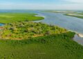 DELTA DU SALOUM ET LA GUINÉE : Deux territoires, un même écosystème, un patrimoine culturel et linguistique aux racines communes