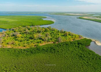 DELTA DU SALOUM ET LA GUINÉE : Deux territoires, un même écosystème, un patrimoine culturel et linguistique aux racines communes