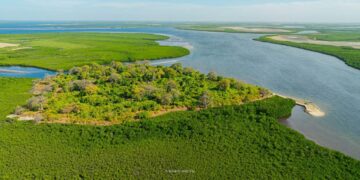 DELTA DU SALOUM ET LA GUINÉE : Deux territoires, un même écosystème, un patrimoine culturel et linguistique aux racines communes