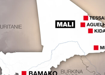 MALI : Washington envisage des frappes contre le JNIM et met en cause l&rsquo;échec de la stratégie russe