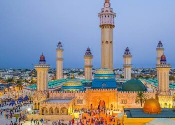 ORGANISATION DE L’ECONOMIE INFORMELLE : Touba, un cas d’école