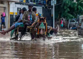 DAKAR INONDÉ APRÈS LES FORTES PLUIES : Tel un cercle vicieux !